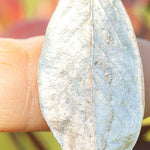Charger l'image dans la galerie, OOAK Blueberry Leaf pendant in silver #6 (ready to ship)