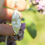 Load image into Gallery viewer, OOAK Phillyrea latifolia Leaf pendant in silver #9 (ready to ship)