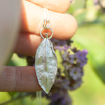 Load image into Gallery viewer, OOAK Phillyrea latifolia Leaf pendant in silver #9 (ready to ship)
