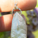Cargar imagen en el visor de la galería, OOAK Phillyrea latifolia Leaf pendant in silver #12 (ready to ship)