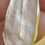 Cargar imagen en el visor de la galería, OOAK Phillyrea latifolia Leaf pendant in silver #12 (ready to ship)