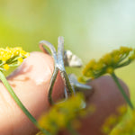 Load image into Gallery viewer, OOAK Nalae, organic ring in silver #18 • Adjustable size 56,5 (ready-to-ship)
