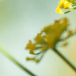 Load image into Gallery viewer, OOAK Nalae, organic ring in silver #12 • size 51,25 (ready-to-ship)