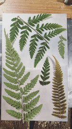 Load image into Gallery viewer, Choose Your Stone : Sena ring (made to order)