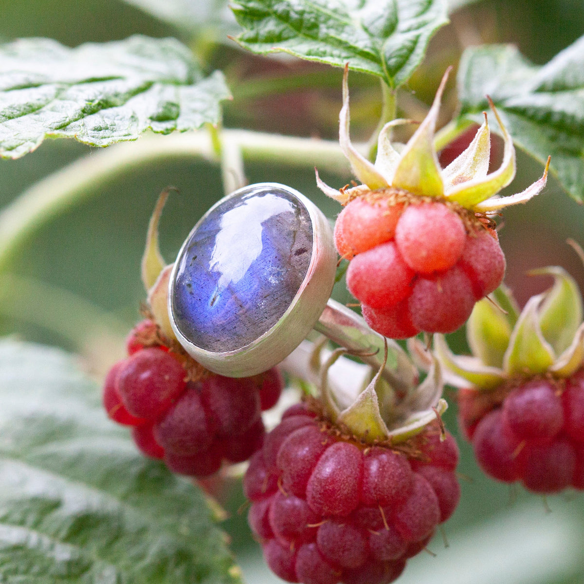 Silver ring with a labradorite cabochon, made during the course