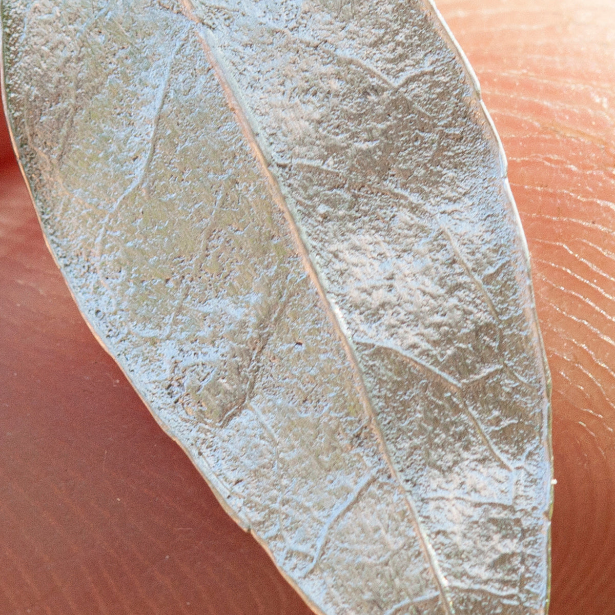 OOAK Silver Leaf earrings #3 (ready to ship)
