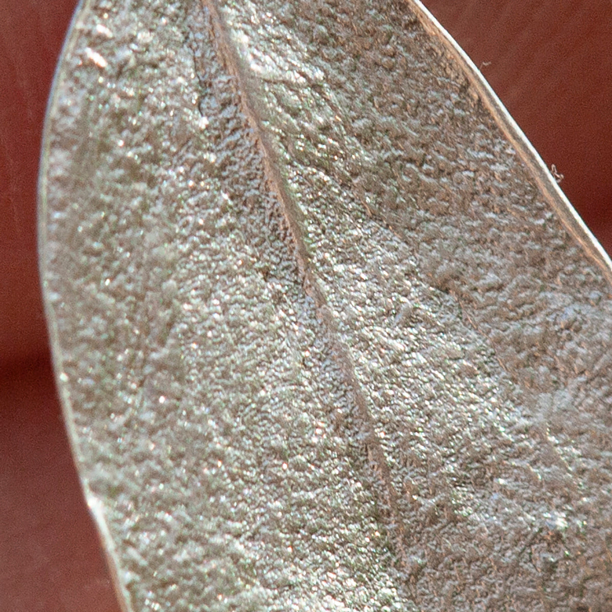 OOAK Silver Leaf earrings #3 (ready to ship)