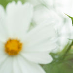 Afbeelding in Gallery-weergave laden, OOAK Mae pendant in silver #27 • Red Jasper (Ready to ship)
