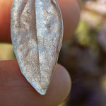 Load image into Gallery viewer, OOAK Phillyrea latifolia Leaf pendant in silver #9 (ready to ship)
