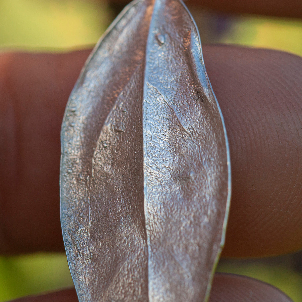 OOAK Phillyrea latifolia Leaf pendant in silver #9 (ready to ship)