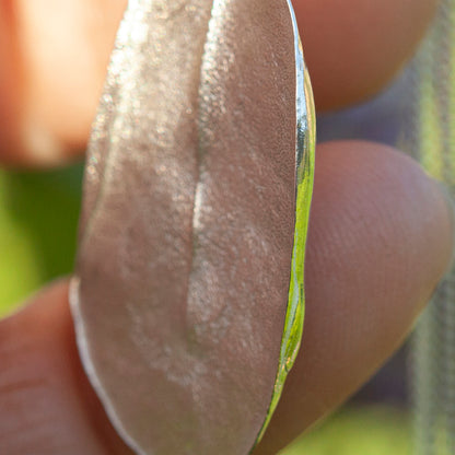Unikat Phillyrea latifolia-Blatt-Anhänger aus Silber #12 (versandbereit)