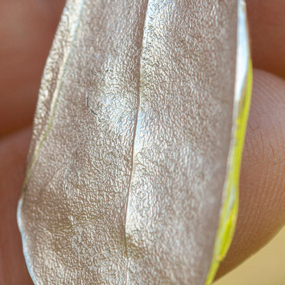 Unikat Phillyrea latifolia-Blatt-Anhänger aus Silber #12 (versandbereit)