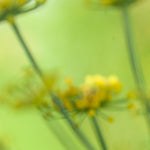 Load image into Gallery viewer, OOAK Nalae, organic ring in silver #1 • size 62,5 (ready-to-ship)
