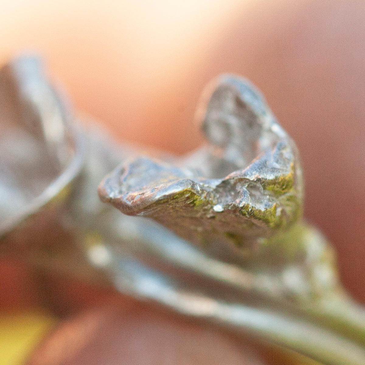 Pieza única Nalae, anillo orgánico de plata #19 • talla 51,5 (listo para enviar)