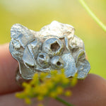 Load image into Gallery viewer, OOAK Nalae, organic ring in silver #21 • size 52,5 (ready-to-ship)
