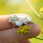 Load image into Gallery viewer, OOAK Nalae, organic ring in silver #22 • size 51,5 (ready-to-ship)
