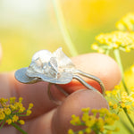 Load image into Gallery viewer, OOAK Nalae, organic ring in silver #23 • size 53 (ready-to-ship)
