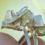 Load image into Gallery viewer, OOAK Nalae, organic ring in silver #9 • size 56,75 (ready-to-ship)
