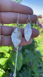 Load and play video in Gallery viewer, OOAK Phillyrea latifolia Leaf pendant in silver #9 (ready to ship)
