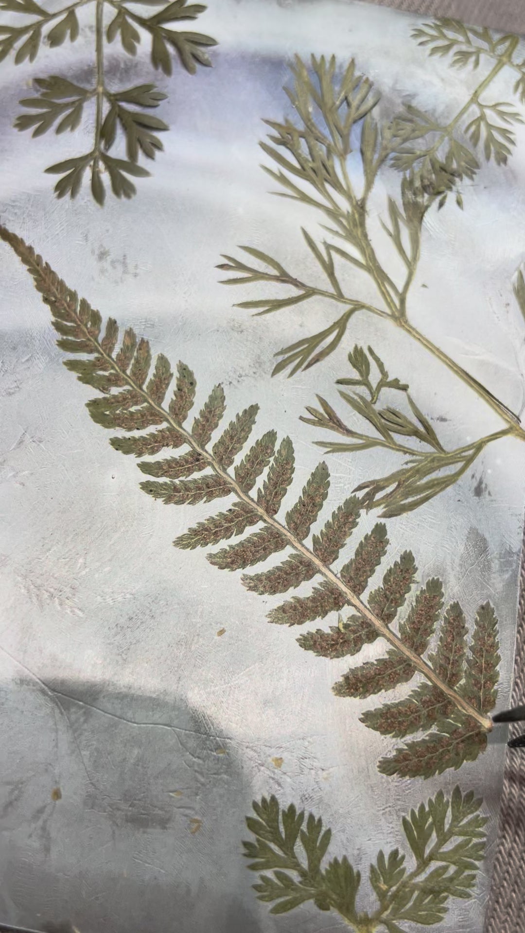 OOAK Healing Tears silver pendant #2 • Dendritic Opal & Kyanite (ready to ship)