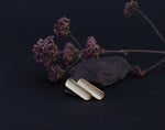 Lade das Bild in den Galerie-Viewer, Brass &quot;bamboo&quot; stud earrings with silver ear posts    (made to order)
